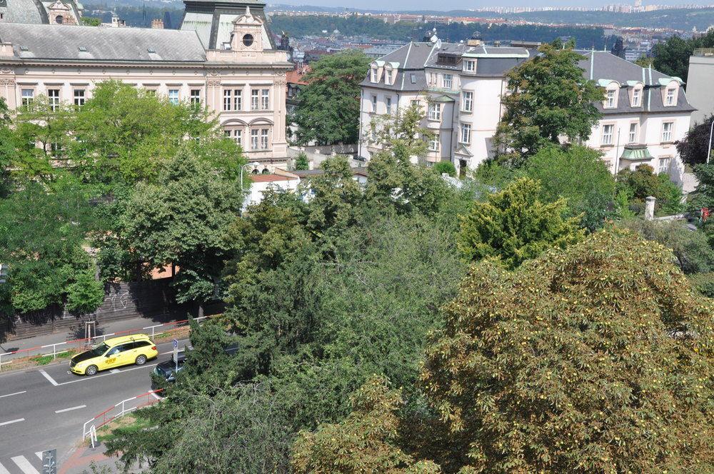 Green Oasis Wenceslas Square Prag